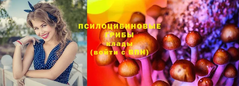 Галлюциногенные грибы MAGIC MUSHROOMS  Жуковский 